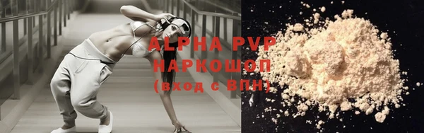 стафф Арсеньев