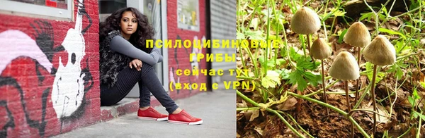 стафф Арсеньев