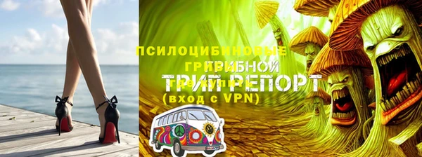 стафф Арсеньев